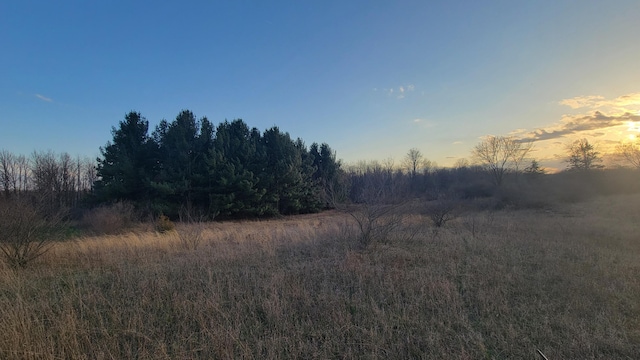V/L Stevenson Rd, Fenwick, MI 48834