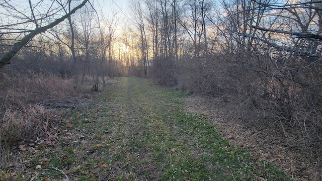 V/L Stevenson Rd, Fenwick, MI 48834