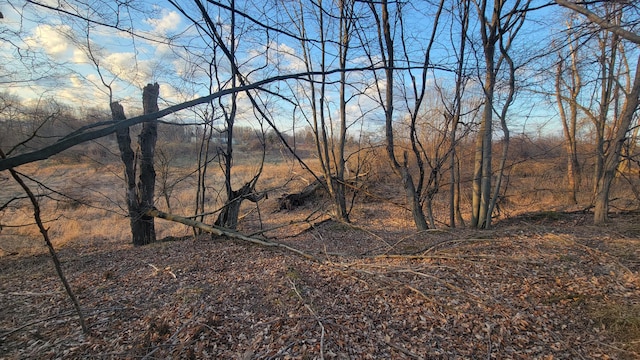 V/L Stevenson Rd, Fenwick, MI 48834