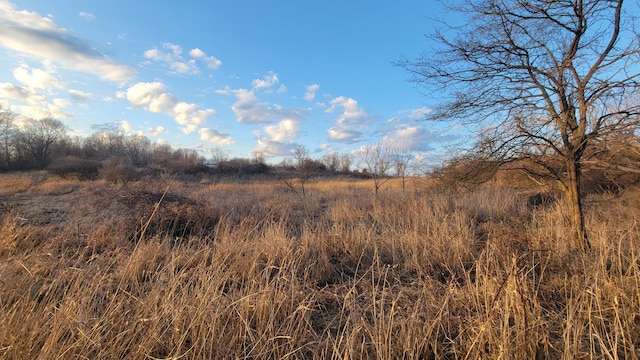 V/L Stevenson Rd, Fenwick, MI 48834