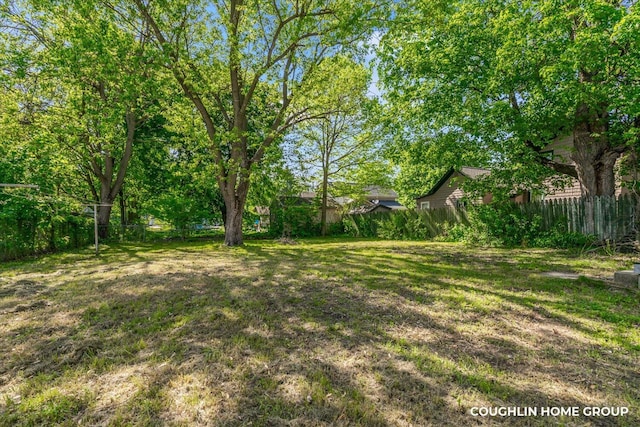 610 S Park St, Hastings, MI 49058 - view of yard