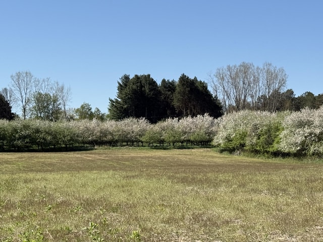 5140 37 Mile Rd, Romeo, MI 48065 - photo 1