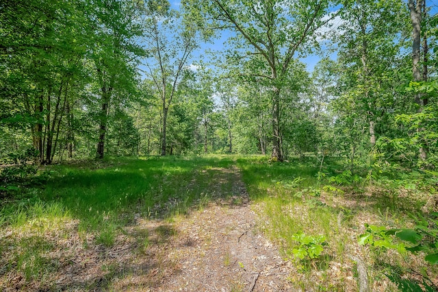 VL Lakewood Rd, Twin Lake, MI 49457 - photo 7