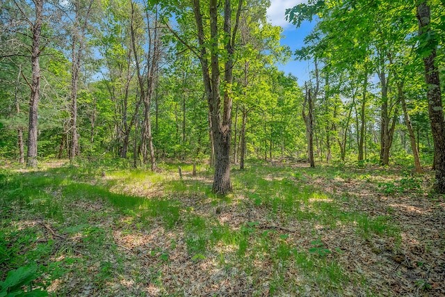 VL Lakewood Rd, Twin Lake, MI 49457 - photo 8