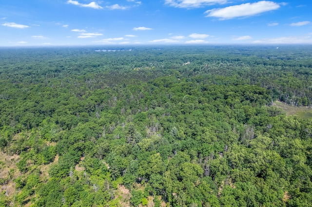 VL Lakewood Rd, Twin Lake, MI 49457 - photo 10