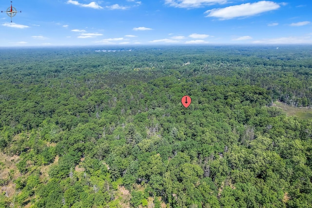 VL Lakewood Rd, Twin Lake, MI 49457 - photo 11