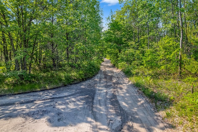 VL Lakewood Rd, Twin Lake, MI 49457 - photo 5