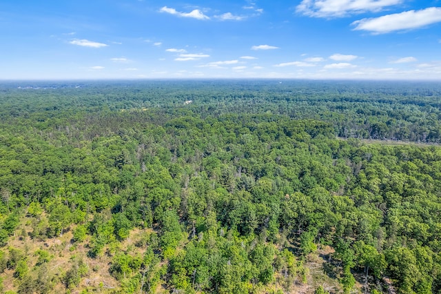 VL Lakewood Rd, Twin Lake, MI 49457 - photo 15