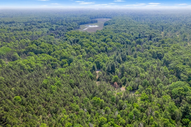 VL Lakewood Rd, Twin Lake, MI 49457 - photo 17