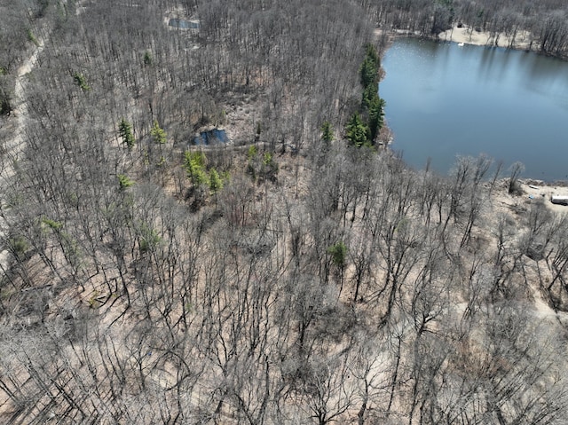 5950 S Lake George Rd, Dryden, MI 48428 - photo 1