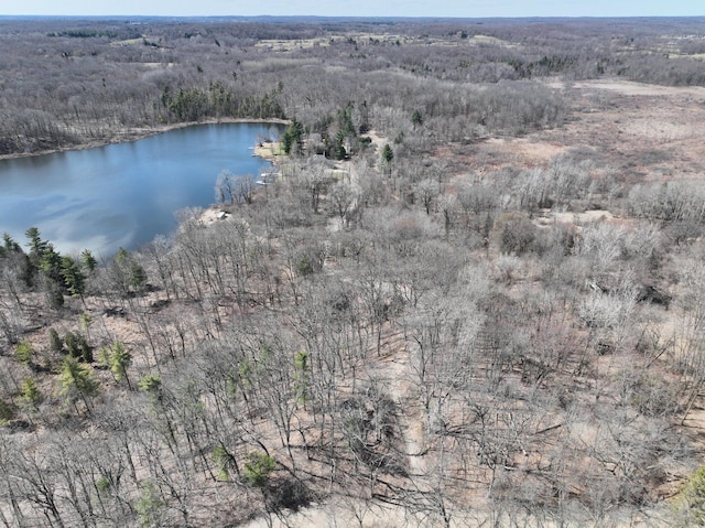 5950 S Lake George Rd, Dryden, MI 48428 - photo 3