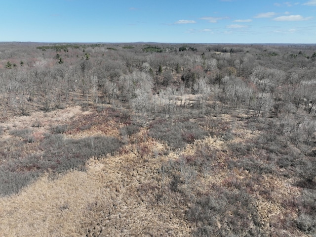 5950 S Lake George Rd, Dryden, MI 48428 - photo 4