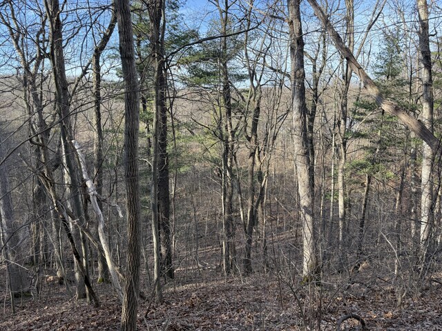 5950 S Lake George Rd, Dryden, MI 48428 - photo 5