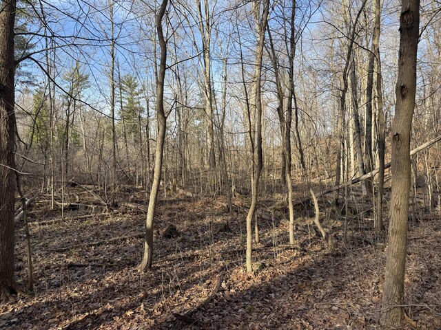 5950 S Lake George Rd, Dryden, MI 48428 - photo 10