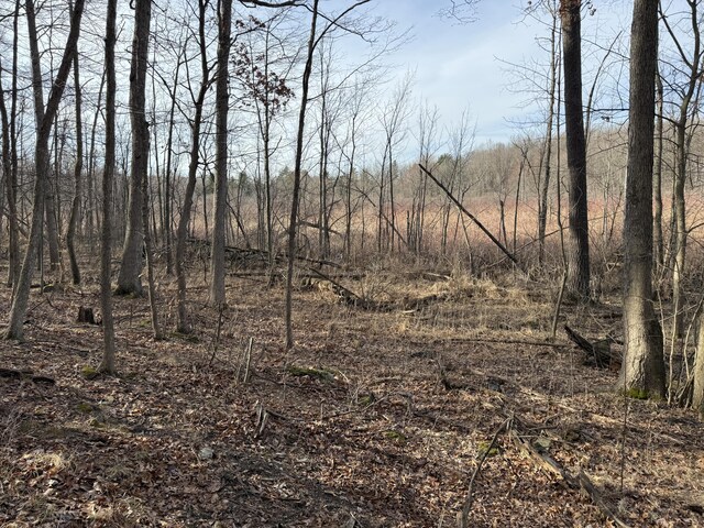5950 S Lake George Rd, Dryden, MI 48428 - photo 13