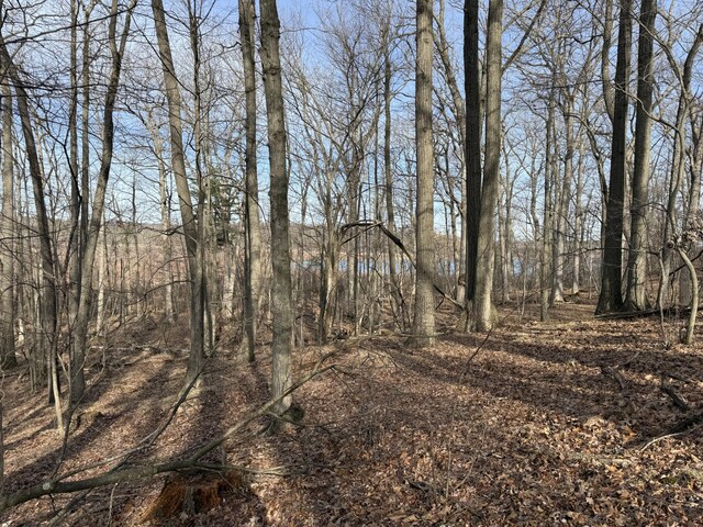 5950 S Lake George Rd, Dryden, MI 48428 - photo 14