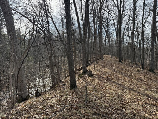 5950 S Lake George Rd, Dryden, MI 48428 - photo 16