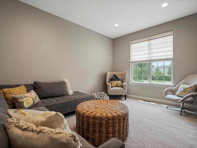 13531 Brampton Ct, Utica, MI 48315 - photo 16