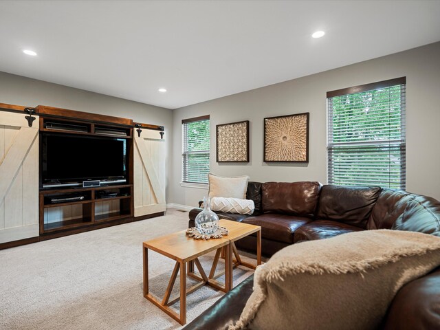 13531 Brampton Ct, Utica, MI 48315 - photo 49
