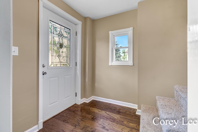 413 W Riverside Dr, Ionia, MI 48846 - entrance foyer with plenty of natural light and dark wood-style floors