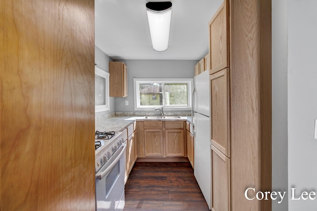 413 W Riverside Dr, Ionia, MI 48846 - kitchen with white appliances, dark wood-style floors, light countertops, and light brown cabinets
