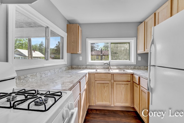 413 W Riverside Dr, Ionia, MI 48846 - kitchen featuring white appliances, light brown cabinetry, light countertops, and dark wood-style floors