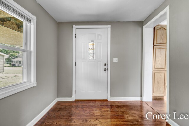 413 W Riverside Dr, Ionia, MI 48846 - entrance foyer with baseboards and wood finished floors