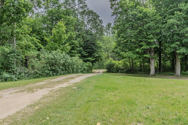 595 133rd Ave, Wayland, MI 49348 - view of dirt / gravel road with a view of trees