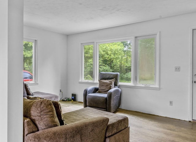 595 133rd Ave, Wayland, MI 49348 - sitting room featuring wood finished floors
