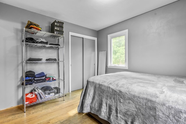 595 133rd Ave, Wayland, MI 49348 - bedroom featuring wood finished floors and a closet
