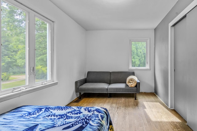 595 133rd Ave, Wayland, MI 49348 - bedroom featuring multiple windows and wood finished floors
