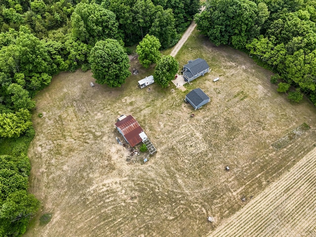 595 133rd Ave, Wayland, MI 49348 - bird's eye view