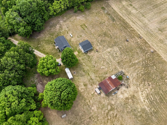 595 133rd Ave, Wayland, MI 49348 - bird's eye view