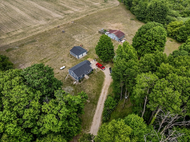 595 133rd Ave, Wayland, MI 49348 - aerial view of sparsely populated area