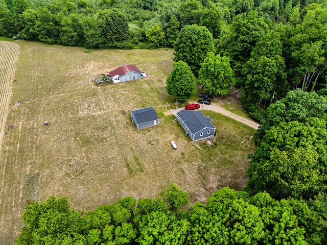 595 133rd Ave, Wayland, MI 49348 - aerial view of sparsely populated area