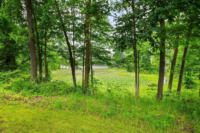 13060 Broadway Rd, Three Rivers, MI 49093 - view of local wilderness