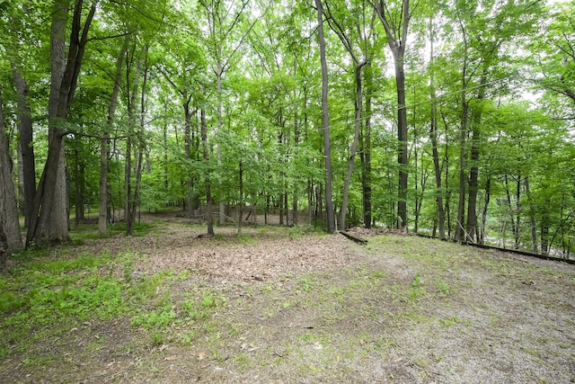 4075 N Delhi Rd, Ann Arbor, MI 48103 - view of tree filled area