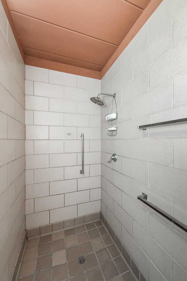 4075 N Delhi Rd, Ann Arbor, MI 48103 - bathroom featuring a tile shower
