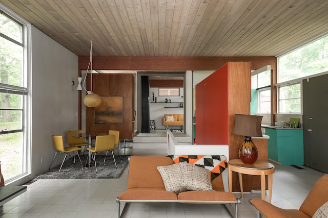 4075 N Delhi Rd, Ann Arbor, MI 48103 - living area featuring wood ceiling