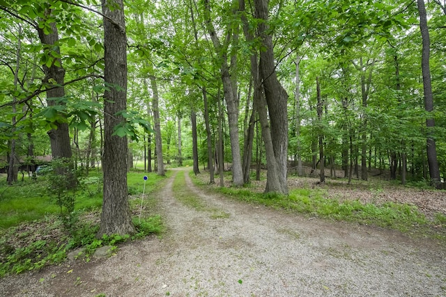 4075 N Delhi Rd, Ann Arbor, MI 48103 - view of road
