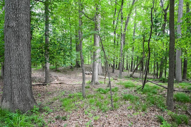 4075 N Delhi Rd, Ann Arbor, MI 48103 - view of woods