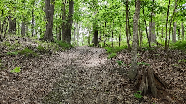 4075 N Delhi Rd, Ann Arbor, MI 48103 - view of tree filled area