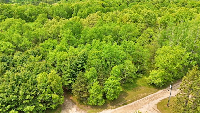 V/L 140th Ave, Stanwood, MI 49346