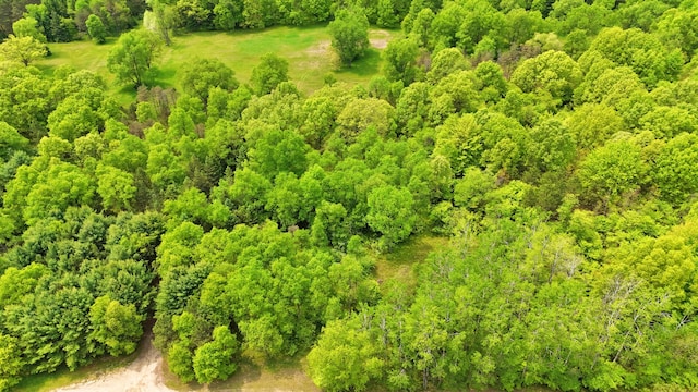 V/L 140th Ave, Stanwood, MI 49346