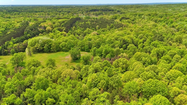V/L 140th Ave, Stanwood, MI 49346
