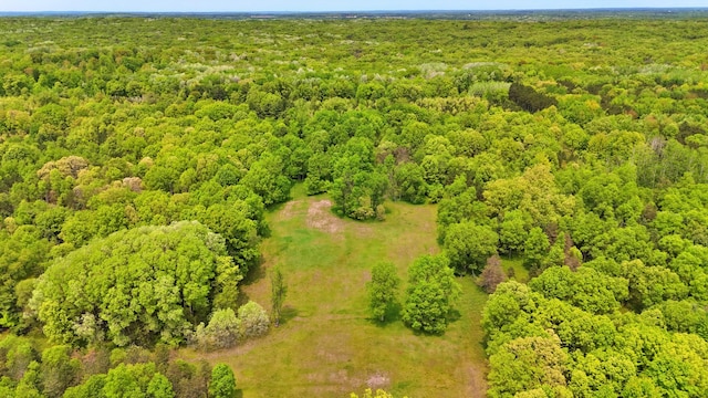 V/L 140th Ave, Stanwood, MI 49346