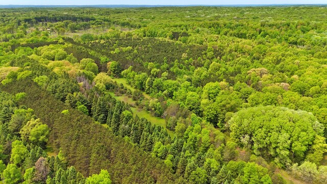 V/L 140th Ave, Stanwood, MI 49346