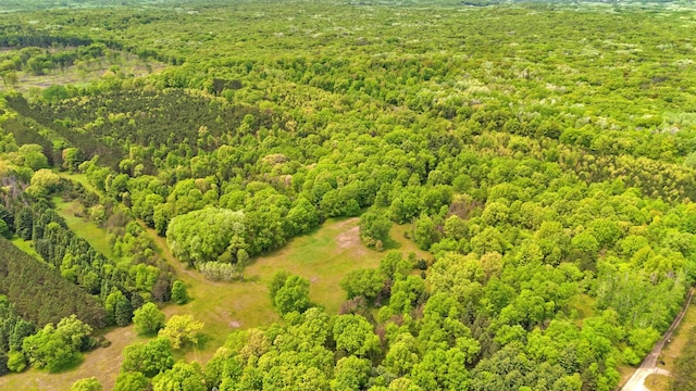 V/L 140th Ave, Stanwood, MI 49346