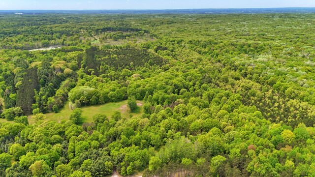 V/L 140th Ave, Stanwood, MI 49346