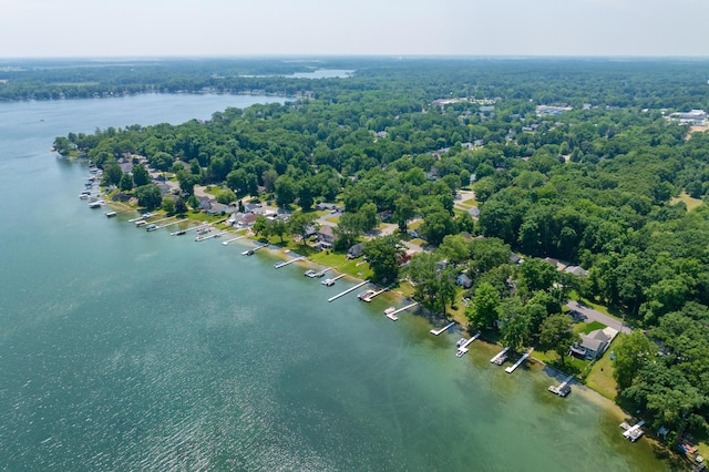 9715 Woodlawn Dr, Portage, MI 49002 - bird's eye view of a nearby body of water and a forest